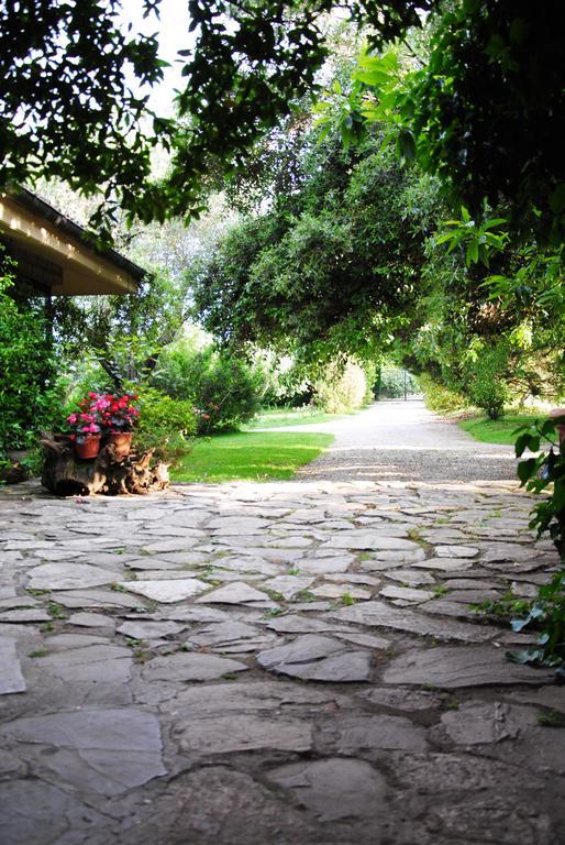 La Casa Degli Elfi Villa Manziana Ngoại thất bức ảnh