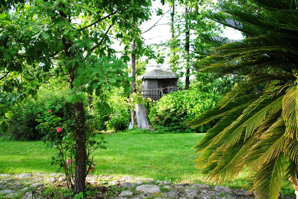 La Casa Degli Elfi Villa Manziana Ngoại thất bức ảnh
