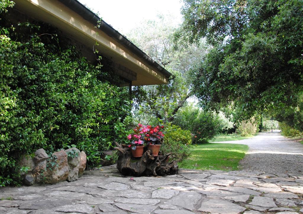 La Casa Degli Elfi Villa Manziana Ngoại thất bức ảnh